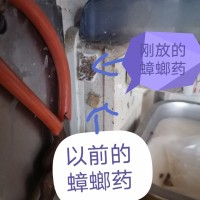 晋江专业灭蟑螂家庭饭店超市单位均可服务