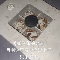 晋江饭店灭鼠灭蟑螂怎么收费