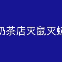 周口消杀告别老鼠困扰：掌握灭鼠技巧，让家更安全！