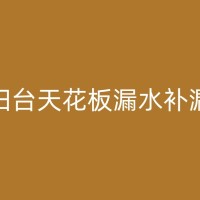 平湖卫生间漏水导致楼下损失，如何快速有效地补漏？