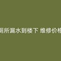 湖州漏水维修：墙面的霉菌问题如何识别并处理？