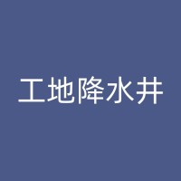 安国打井工程队：应急抢修，确保设备正常运行