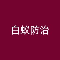 栾城白蚁防治公司：家庭装修时如何预防白蚁侵害？