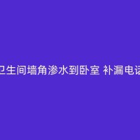天台漏水维修，墙面发霉问题大解密：深入了解房屋渗水带来的霉菌难题