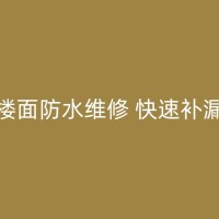 乐清房屋漏水问题教你如何轻松应对，不再砸砖！