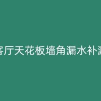 苍南墙角漏水检测与定位：教你如何快速找到漏水的位置，提高维修效率