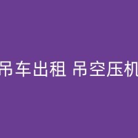 锡林浩特25吨小吊车租赁，专业吊装，确保设备正常运行