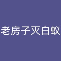 盘锦酒店除四害服务：多方位保障客人的健康与安全