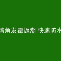 宿迁客厅免砸砖防水的优势和应用：从源头上解决渗水问题