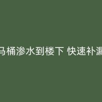 高邮厕所防水堵漏技巧大揭秘：让你的卫生间远离潮湿困扰