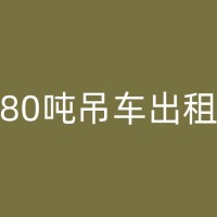 太和专业高空作业吊车出租：高效完成高空作业