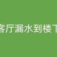 三明客厅漏水到楼下，如何在不影响自己生活的前提下尽快解决问题？