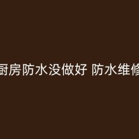 阳东厕所防水补漏材料大揭秘：哪种材料适合你的卫生间？