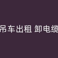 旅顺吊机出租哪家好，看看他们的行业经验和技术实力！