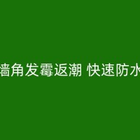 射洪地下室防水补漏攻略：深度解析地下室防水工程的重要性与实施方法