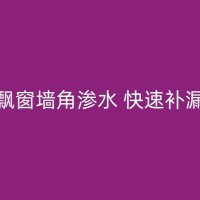 富顺快速解决厕所漏水问题：专业补漏步骤详解