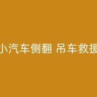 陇西自卸吊租赁应用案例：见证我们的实力和服务水平