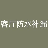 勐海客厅漏水到楼下，如何选择合适的维修公司并确保质量？