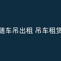 山丹吊车的安全装置：了解这些装置是如何保护操作员的