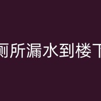 晋宁厕所漏水问题大解析：原因、影响及解决方法一览