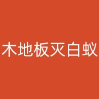 丰顺消杀蚂蚁公司：如何确保你的家庭环境安全无虞？