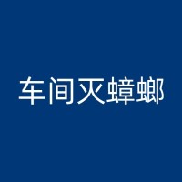 大新白蚁防治公司介绍：如何识别并处理初期的白蚁迹象？