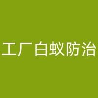 良庆酒店杀虫案例分析：从实际操作中学习酒店杀虫的日常实践方法