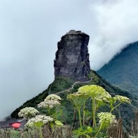 贵州旅游包车铜仁梵净山线路包车预订