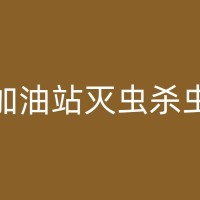 浮梁酒店灭蟑螂：关键步骤与有效方法