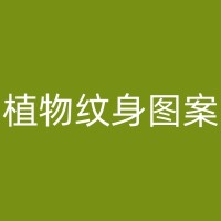 绥化纹身的社会接受度：专业纹身师的社会责任观