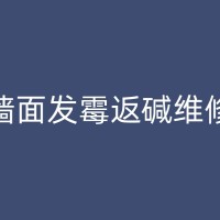 溆浦漏水维修，墙面发霉问题大解密：深入了解房屋渗水带来的霉菌难题