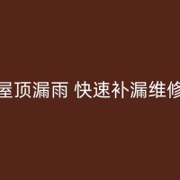 新邵防水公司：卫生间防水涂料的选择与应用技巧