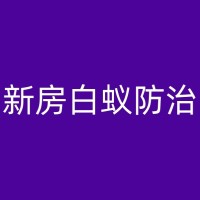 蔡甸室内白蚁防治：预防胜于治疗