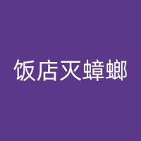 桐乡祖屋灭白蚁行动：从预防到治理多方位解析